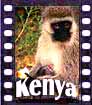 Fotos de Kenya